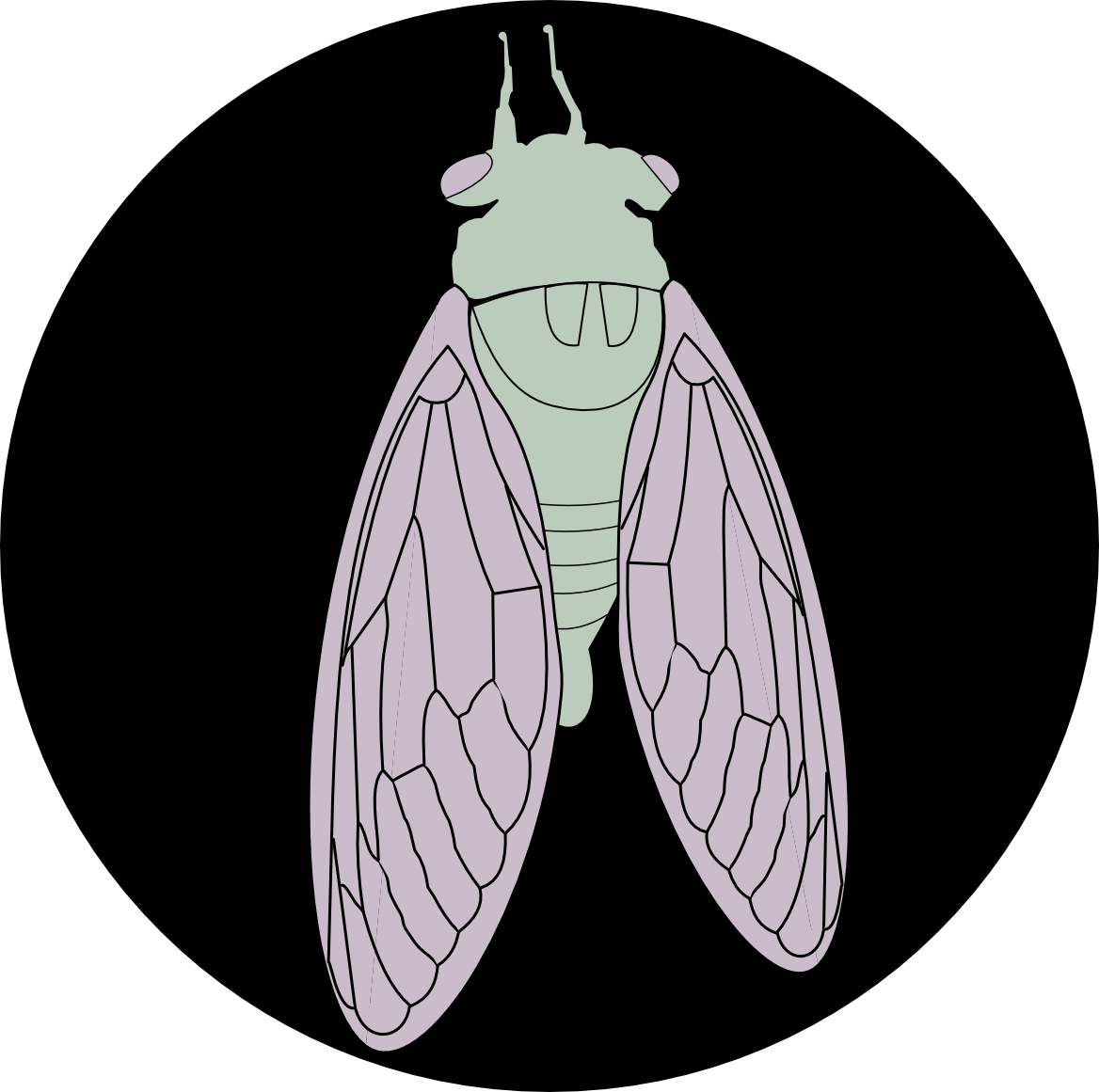 Wandering Cicada logo